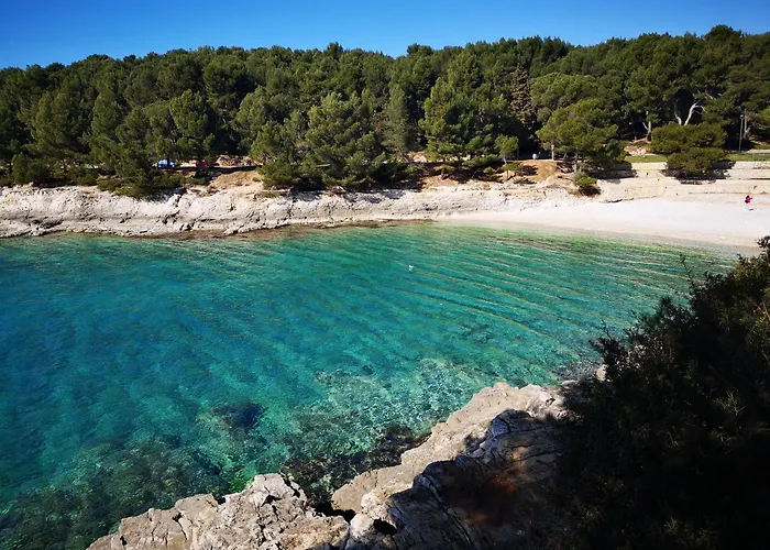 App Zara Park Διαμέρισμα *